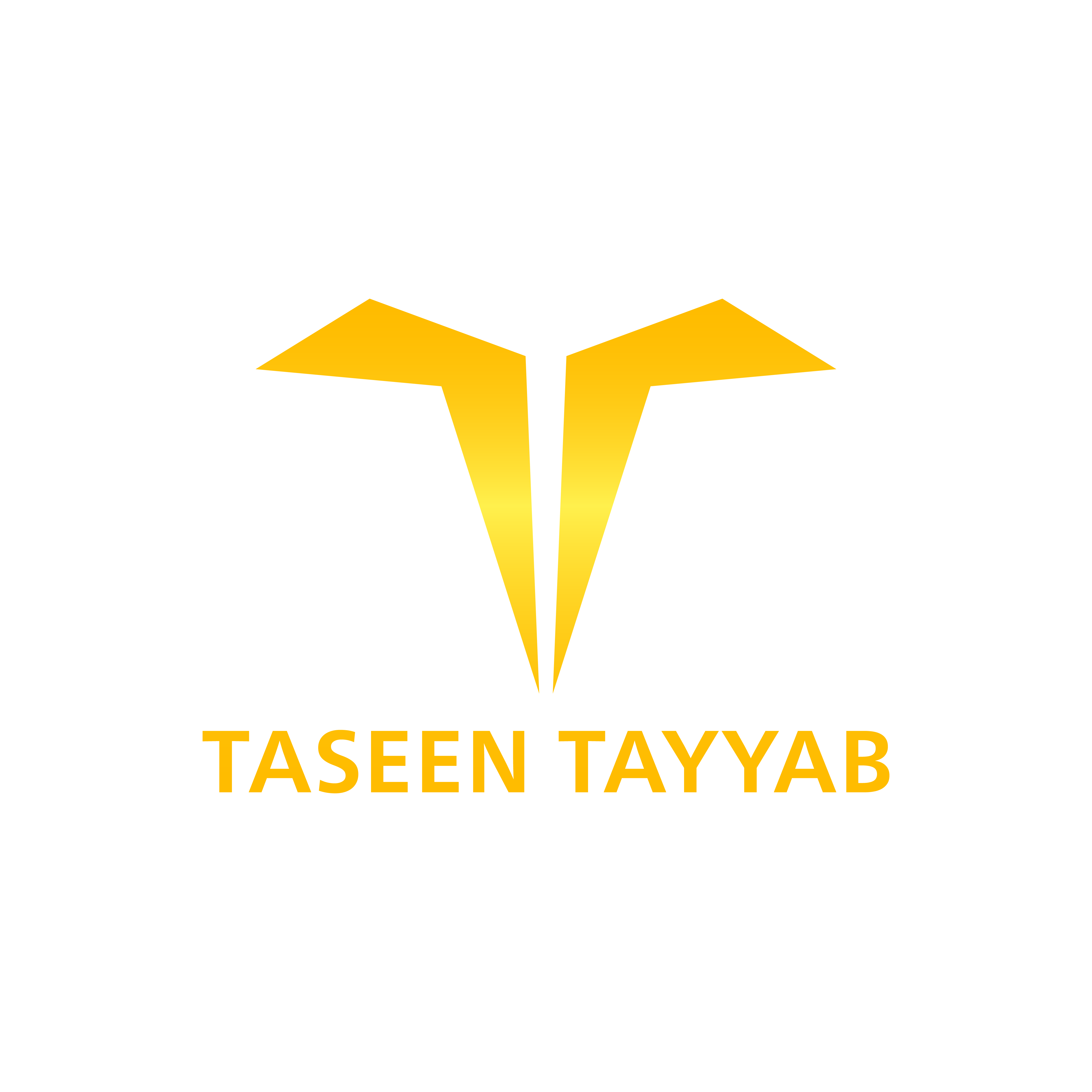 taseentayyab.com